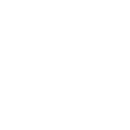 Icône résultat
